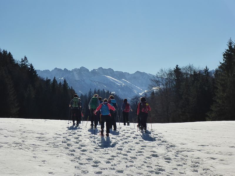 Schlechinger Almenrunde 