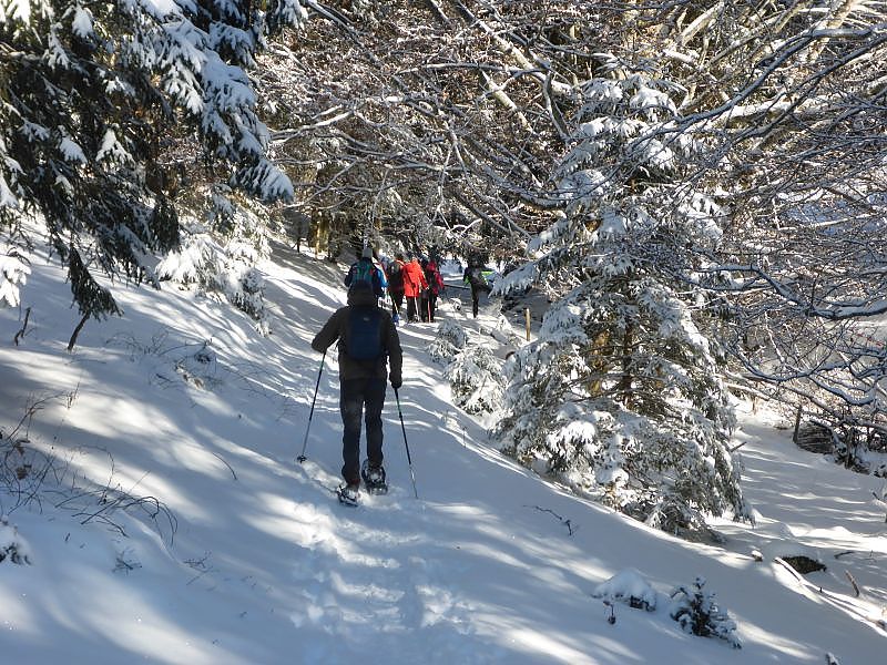 Schlechinger Almenrunde