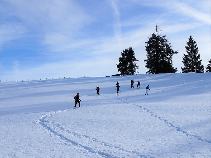 Schlechinger Almenrunde