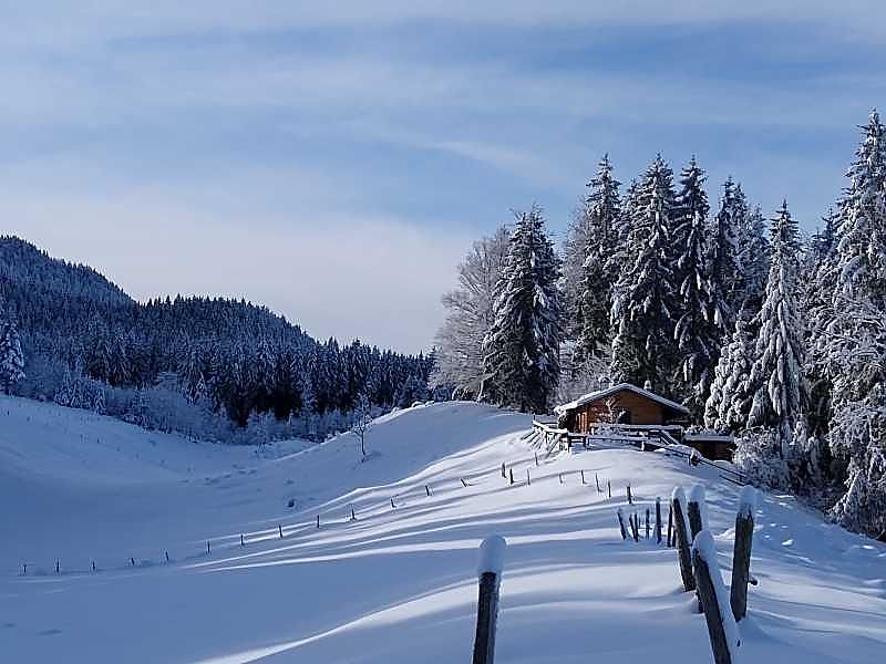 Käseralm - mal ganz anders