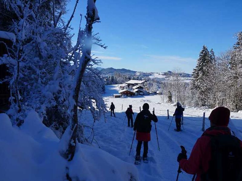 Käseralm - mal ganz anders