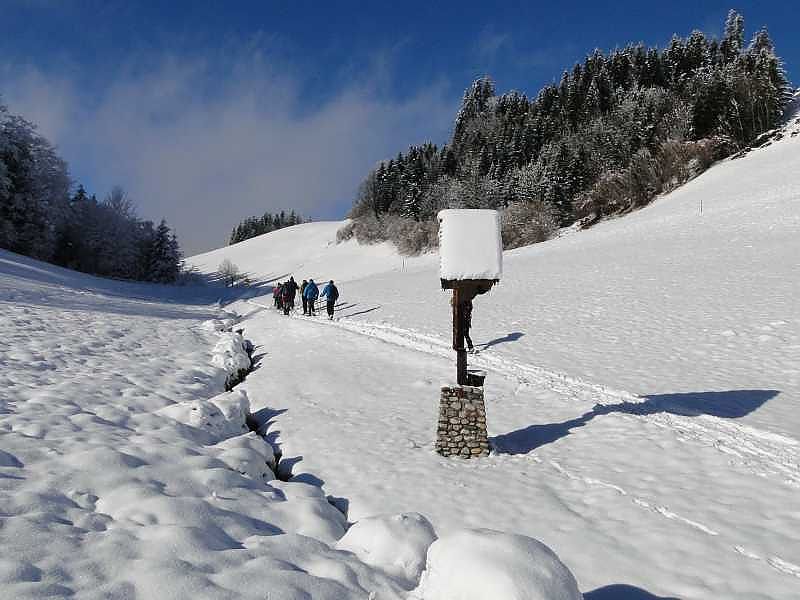 Kleine Spitzstein Almenrunde - schauen was geht