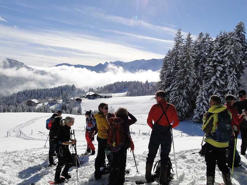 Kleine Spitzstein Almenrunde - schauen was geht