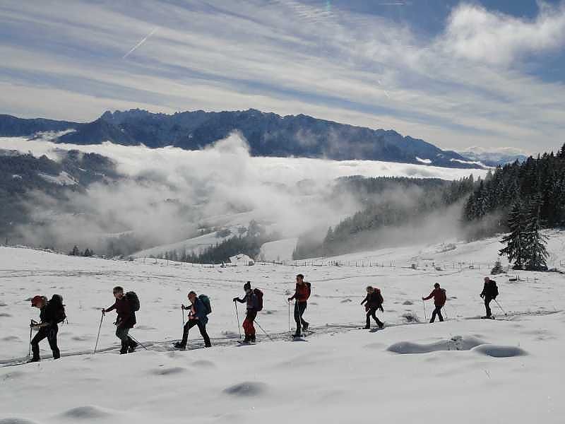 Kleine Spitzstein Almenrunde - schauen was geht
