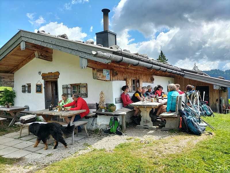 Wanderung zur Almfamilie auf der Bischofsfellnalm