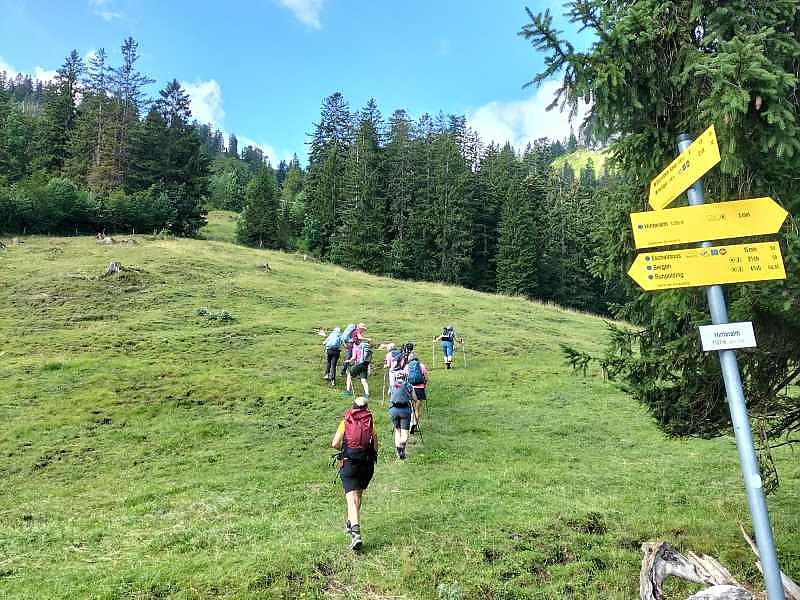 Wanderung zur Almfamilie auf der Bischofsfellnalm