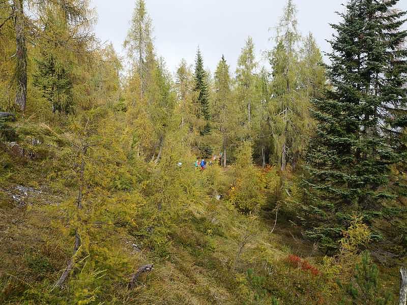 Eine schaurig schöne Nebelwanderung zum Straubinger Haus