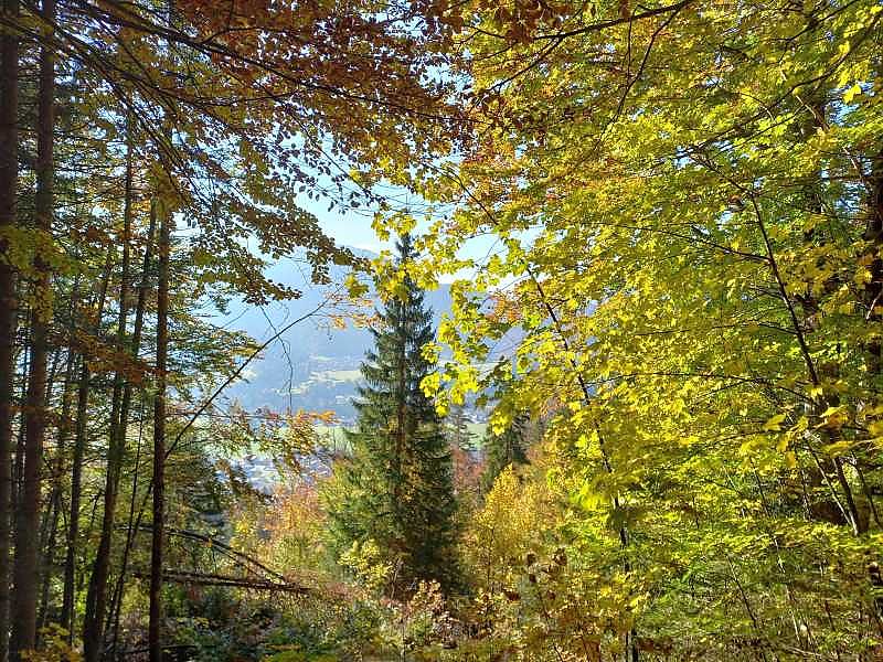 Die Feier der Natur!