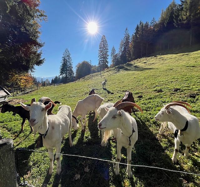 Die Feier der Natur!