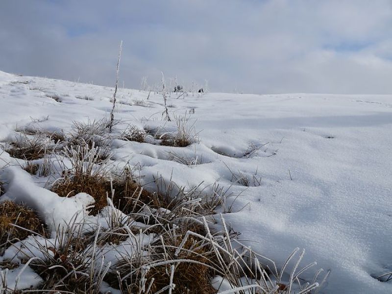 Hemmersuppn Alm - unterwegs in der 