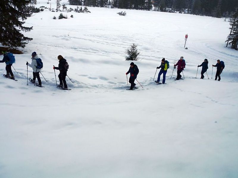 Hemmersuppn Alm - unterwegs in der 