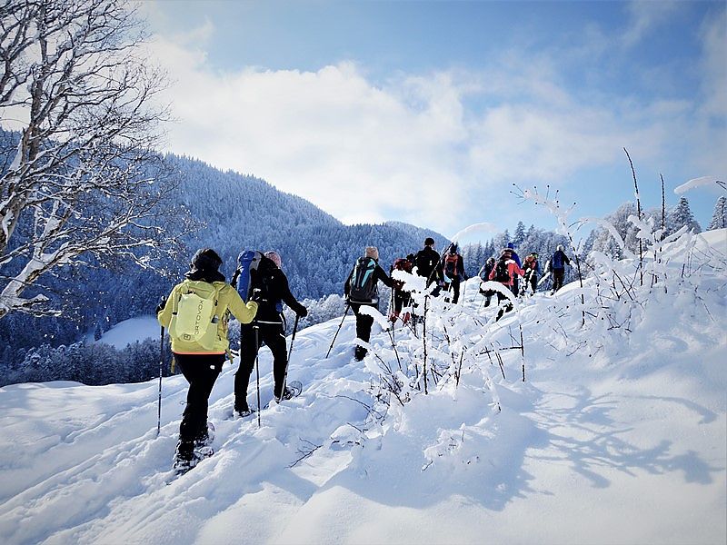 Mittelschwere Schneeschuhtouren - ausgewählt je nach Schneelage