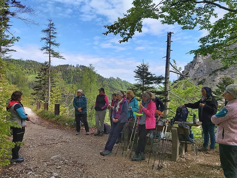 Frauenwanderung auf den Spuren von Eisen und Industrie