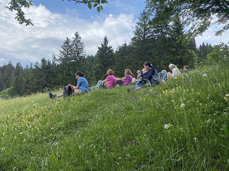 Auf neuen Wegen zur Chiemhauser Alm