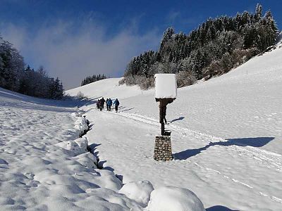 Kleine Spitzstein Almenrunde - schauen was geht