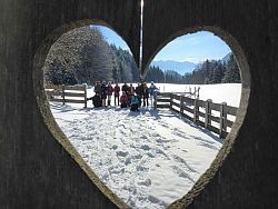 Schlechinger Almenrunde