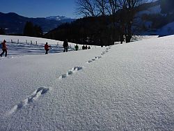 Staffnalmrunde mit Talabstieg
