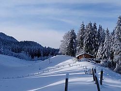 Käseralm - mal ganz anders