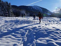 Gmiatlich unter der Woche - Schneeschuhtouren für 55 plus  