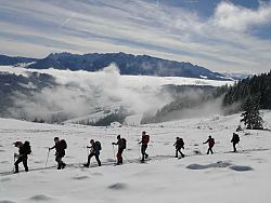 Kleine Spitzstein Almenrunde - schauen was geht