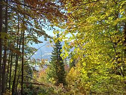 Die Feier der Natur!