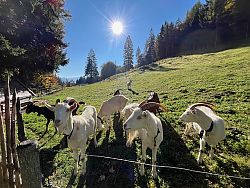 Die Feier der Natur!