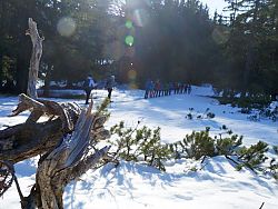 Eine Frühjahrsschneeschuhtour mitten im Winter