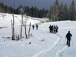 Hemmersuppn Alm - unterwegs in der 
