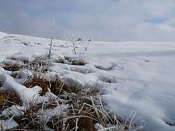 Hemmersuppn Alm - unterwegs in der 