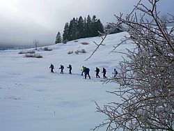 Hemmersuppn Alm - unterwegs in der 
