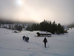 Hemmersuppn Alm - unterwegs in der 