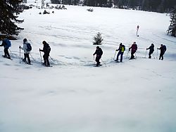 Hemmersuppn Alm - unterwegs in der 