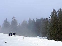 Hemmersuppn Alm - unterwegs in der 